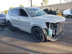 5XYP3DHC2MG183607 2021 KIA TELLURIDE