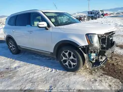 5XYP3DHC3NG247588 2022 KIA TELLURIDE