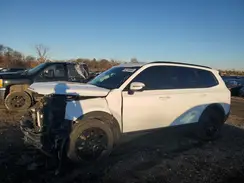 5XYP3DHC4MG181373 2021 KIA TELLURIDE