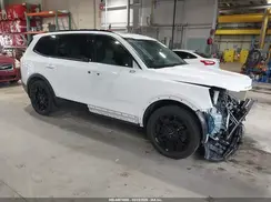 5XYP3DHC5NG244451 2022 KIA TELLURIDE