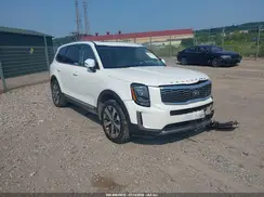 5XYP3DHC7LG093013 2020 KIA TELLURIDE