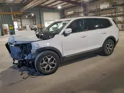 5XYP3DHC7MG131003 2021 KIA TELLURIDE