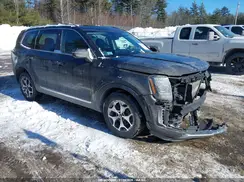5XYP3DHC9LG012948 2020 KIA TELLURIDE