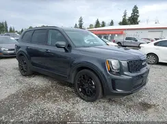 5XYP3DHC9NG225031 2022 KIA TELLURIDE