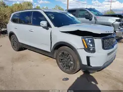 5XYP3DHC9NG230391 2022 KIA TELLURIDE