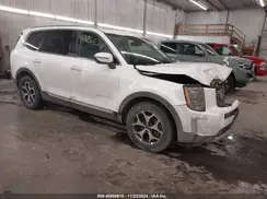 5XYP3DHCXLG002056 2020 KIA TELLURIDE