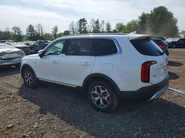 5XYP3DHCXLG004003 2020 KIA TELLURIDE - Image 2