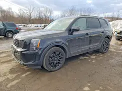 5XYP3DHCXMG144201 2021 KIA TELLURIDE