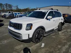 5XYP54GC0PG377813 2023 KIA TELLURIDE