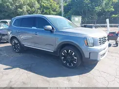 5XYP54GC0RG454053 2024 KIA TELLURIDE
