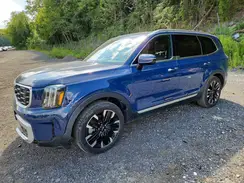 5XYP54GC0RG484993 2024 KIA TELLURIDE