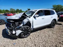 5XYP54GC0RG497355 2024 KIA TELLURIDE