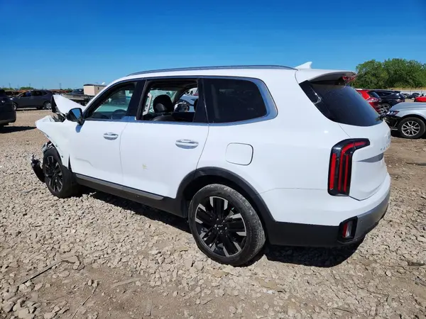 5XYP54GC0RG497355 2024 KIA TELLURIDE - Image 2