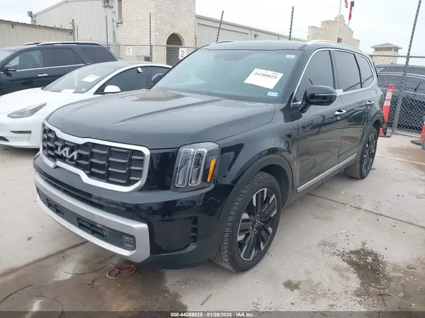5XYP54GC0RG501372 2024 KIA TELLURIDE - Image 2
