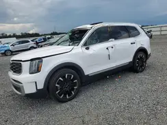 5XYP54GC1PG357022 2023 KIA TELLURIDE