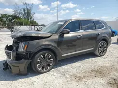 5XYP54GC1PG391641 2023 KIA TELLURIDE
