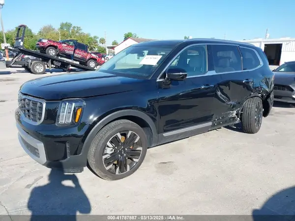 5XYP54GC1RG488969 2024 KIA TELLURIDE - Image 2