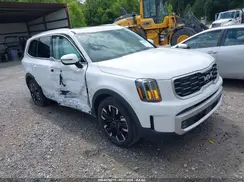 5XYP54GC1RG535871 2024 KIA TELLURIDE