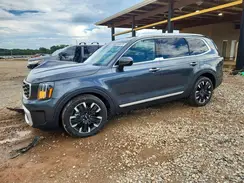 5XYP54GC2RG529058 2024 KIA TELLURIDE
