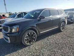 5XYP54GC3RG428658 2024 KIA TELLURIDE