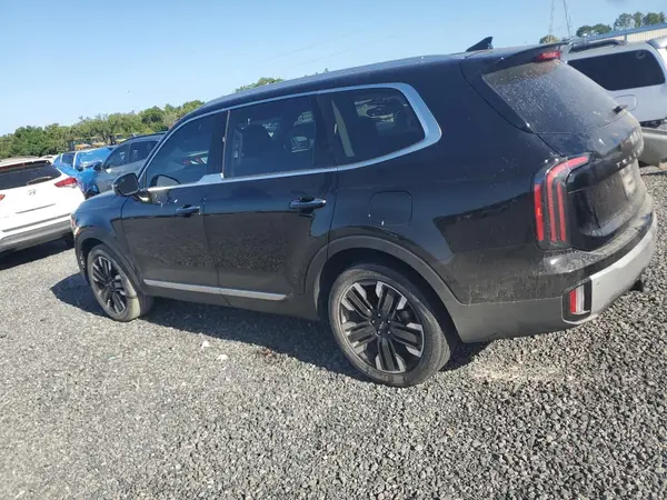 5XYP54GC3RG428658 2024 KIA TELLURIDE - Image 2