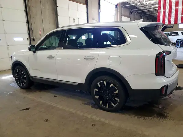 5XYP54GC3RG438364 2024 KIA TELLURIDE - Image 2