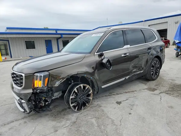 5XYP54GC3RG545527 2024 KIA TELLURIDE - Image 1
