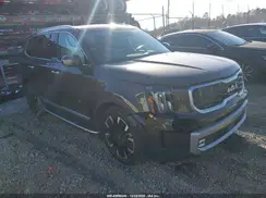 5XYP54GC4PG343647 2023 KIA TELLURIDE