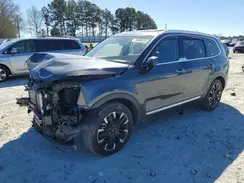 5XYP54GC4PG369049 2023 KIA TELLURIDE