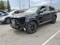 5XYP54GC4RG467811 2024 KIA TELLURIDE