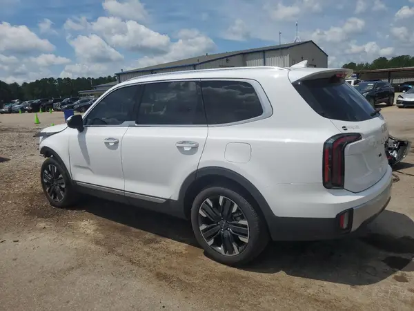 5XYP54GC4RG474306 2024 KIA TELLURIDE - Image 2