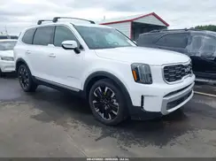5XYP54GC4RG530325 2024 KIA TELLURIDE