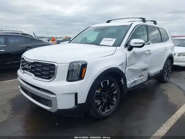 5XYP54GC4RG530325 2024 KIA TELLURIDE - Image 2