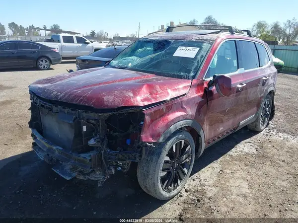 5XYP54GC4RG562272 2024 KIA TELLURIDE - Image 2