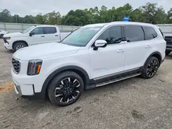 5XYP54GC4SG656366 2025 KIA TELLURIDE