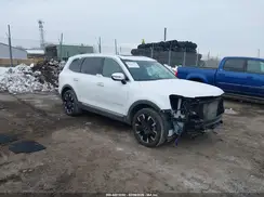 5XYP54GC5PG327845 2023 KIA TELLURIDE