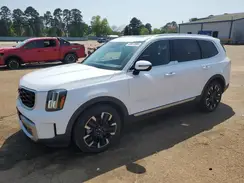 5XYP54GC5PG334889 2023 KIA TELLURIDE