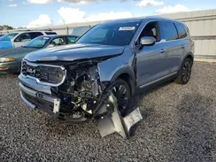 5XYP54GC5RG462424 2024 KIA TELLURIDE