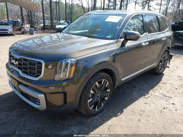 5XYP54GC5RG468515 2024 KIA TELLURIDE - Image 2
