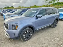 5XYP54GC5RG479613 2024 KIA TELLURIDE