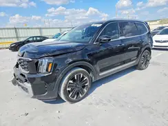 5XYP54GC5RG553371 2024 KIA TELLURIDE