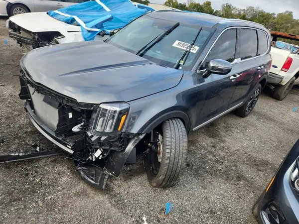 5XYP54GC5RG554584 2024 KIA TELLURIDE - Image 1
