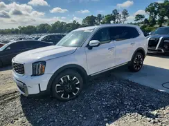5XYP54GC6PG383843 2023 KIA TELLURIDE
