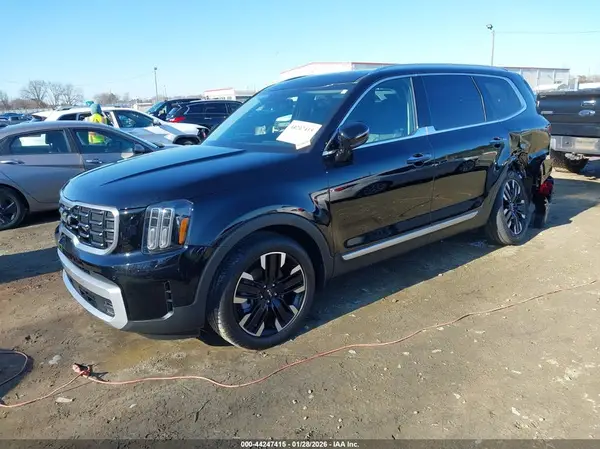 5XYP54GC6RG509492 2024 KIA TELLURIDE - Image 2