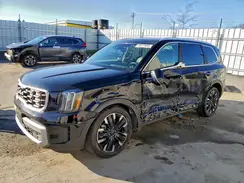 5XYP54GC7RG413113 2024 KIA TELLURIDE