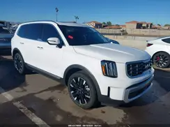 5XYP54GC7RG540248 2024 KIA TELLURIDE