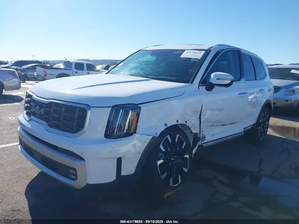 5XYP54GC7RG540248 2024 KIA TELLURIDE - Image 2