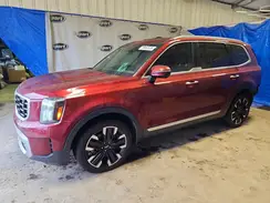5XYP54GC8PG400903 2023 KIA TELLURIDE