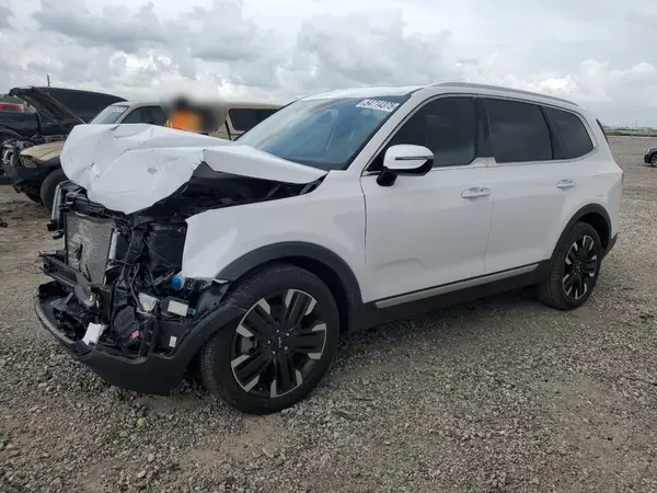 5XYP54GC8RG494042 2024 KIA TELLURIDE - Image 1