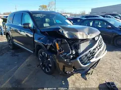 5XYP54GC8RG510594 2024 KIA TELLURIDE